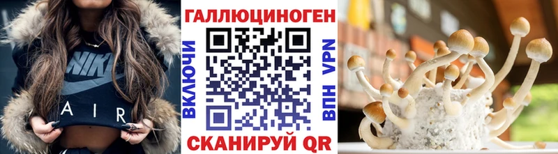 blacksprut как зайти Боровск Галлюциногенные грибы Cubensis